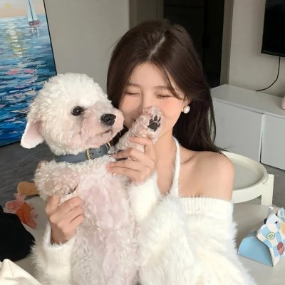 雾的子午线